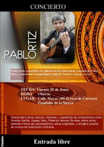 cartel concierto guitarra junio 2013