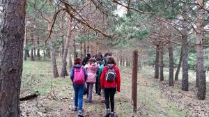 1506597_10153310326572265_1069841520807773516_n